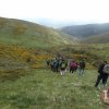 marcha_senderismo2014 (125)